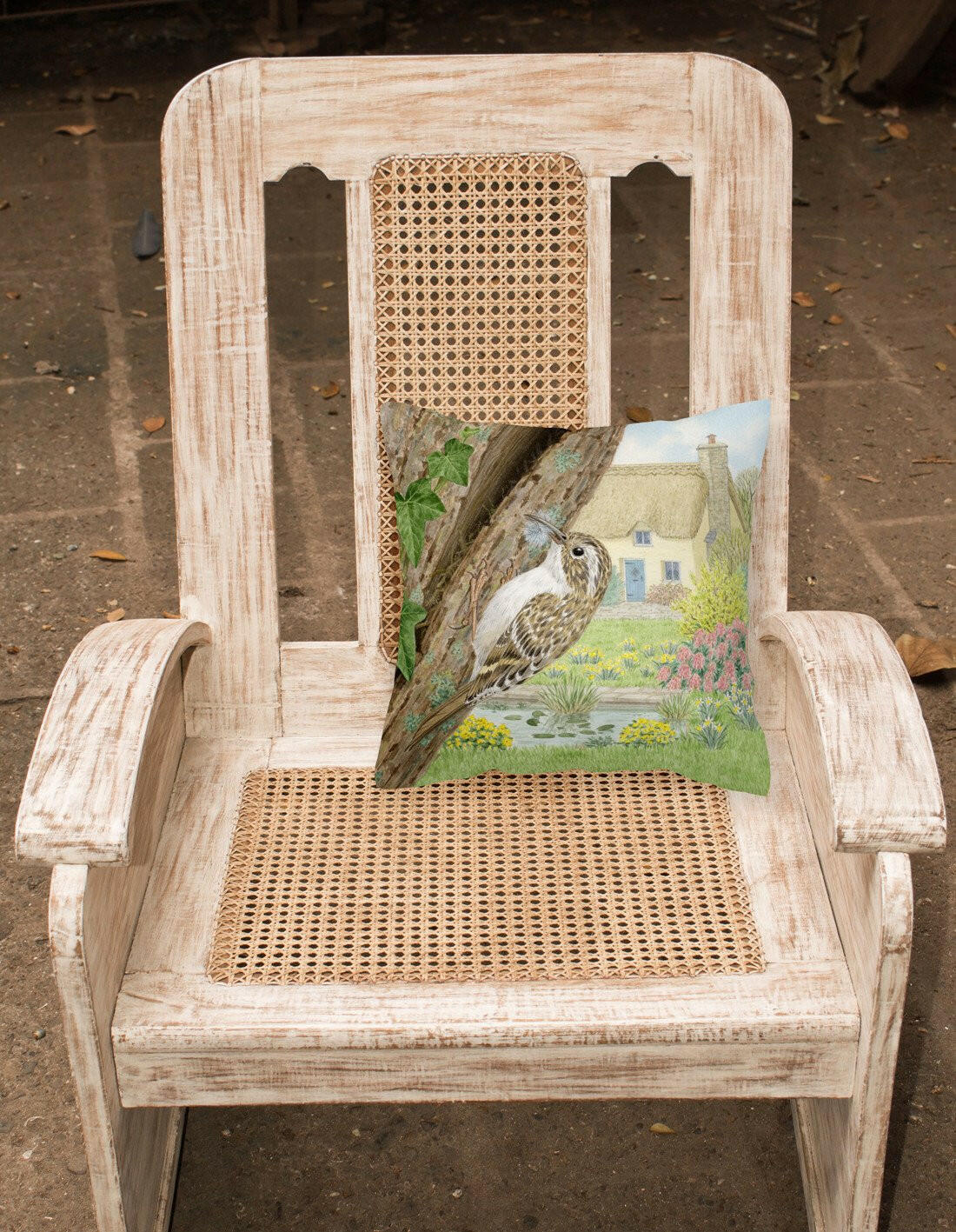 Treecreeper by Sarah Adams Canvas Decorative Pillow ASAD0680PW1414 - the-store.com