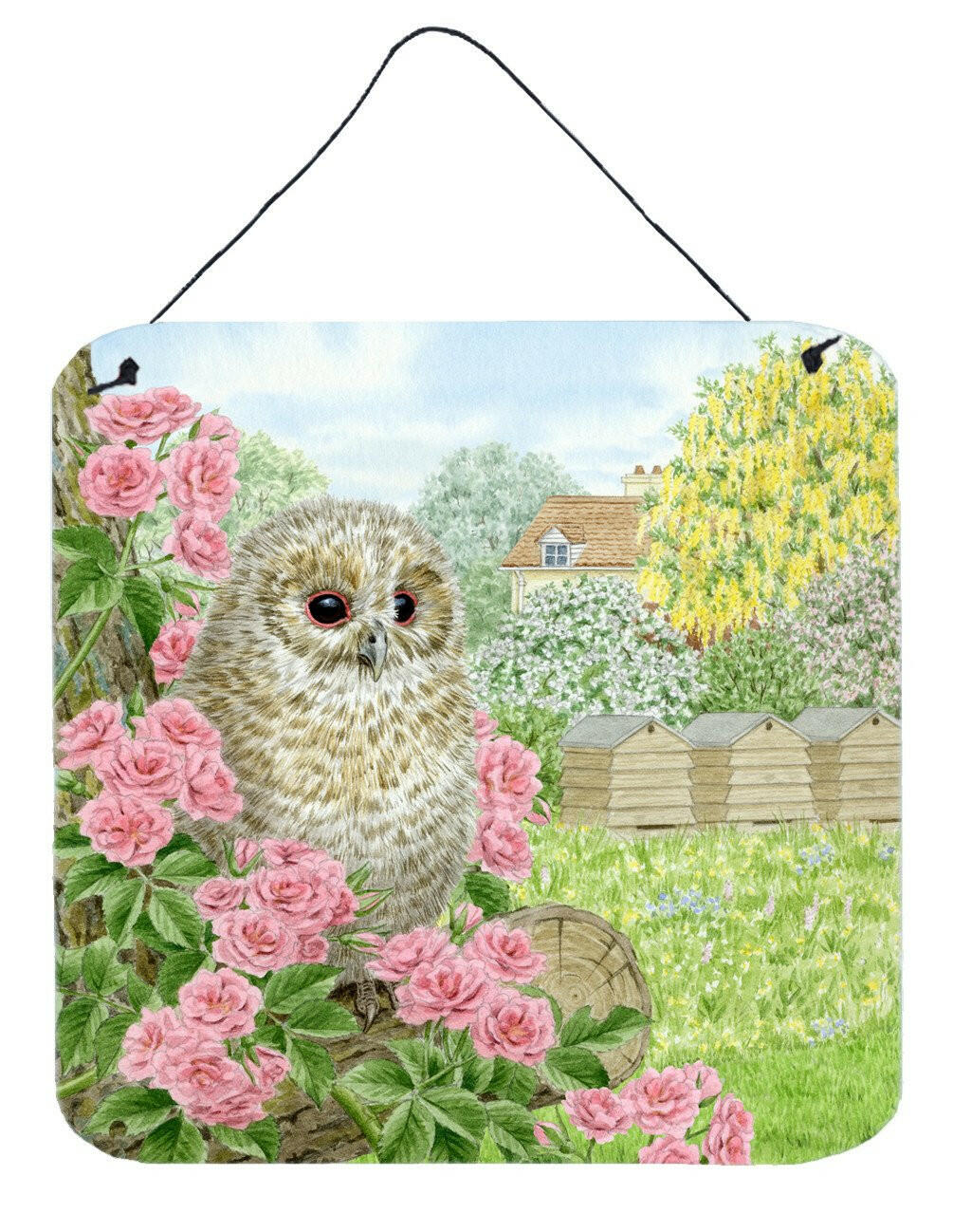 Tawny Owlet by Sarah Adams Wall or Door Hanging Prints ASAD0697DS66 by Caroline's Treasures