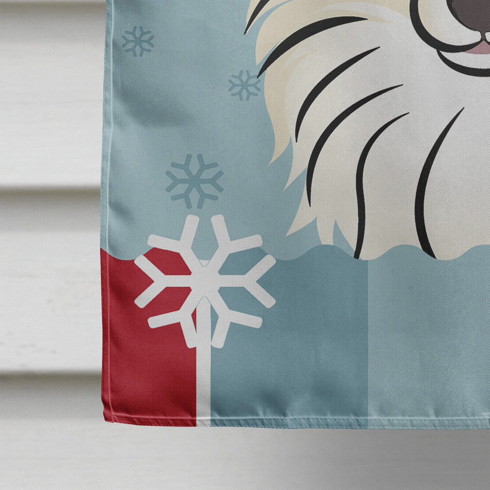 Winter Holiday Pomeranian Flag Canvas House Size BB1703CHF  the-store.com.