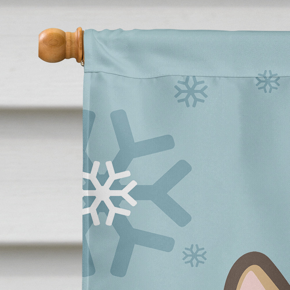 Winter Holiday Sable Corgi Flag Canvas House Size BB1749CHF  the-store.com.