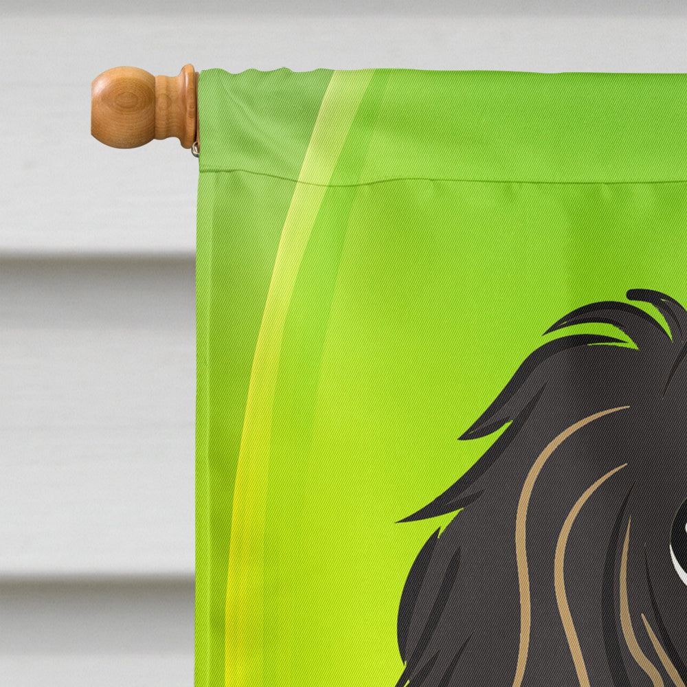 Longhair Black and Tan Dachshund St. Patrick's Day Flag Canvas House Size BB1957CHF  the-store.com.