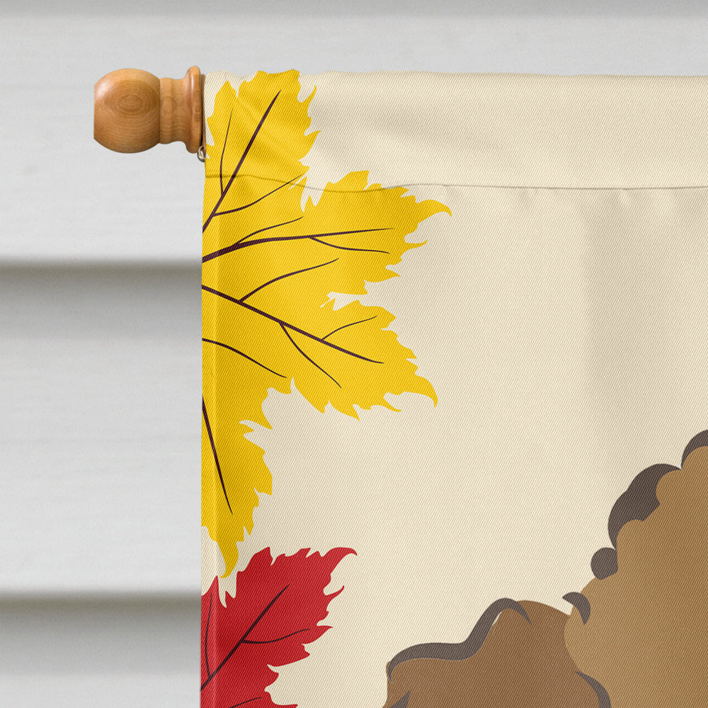 Chocolate Brown Poodle Thanksgiving Flag Canvas House Size BB2062CHF  the-store.com.