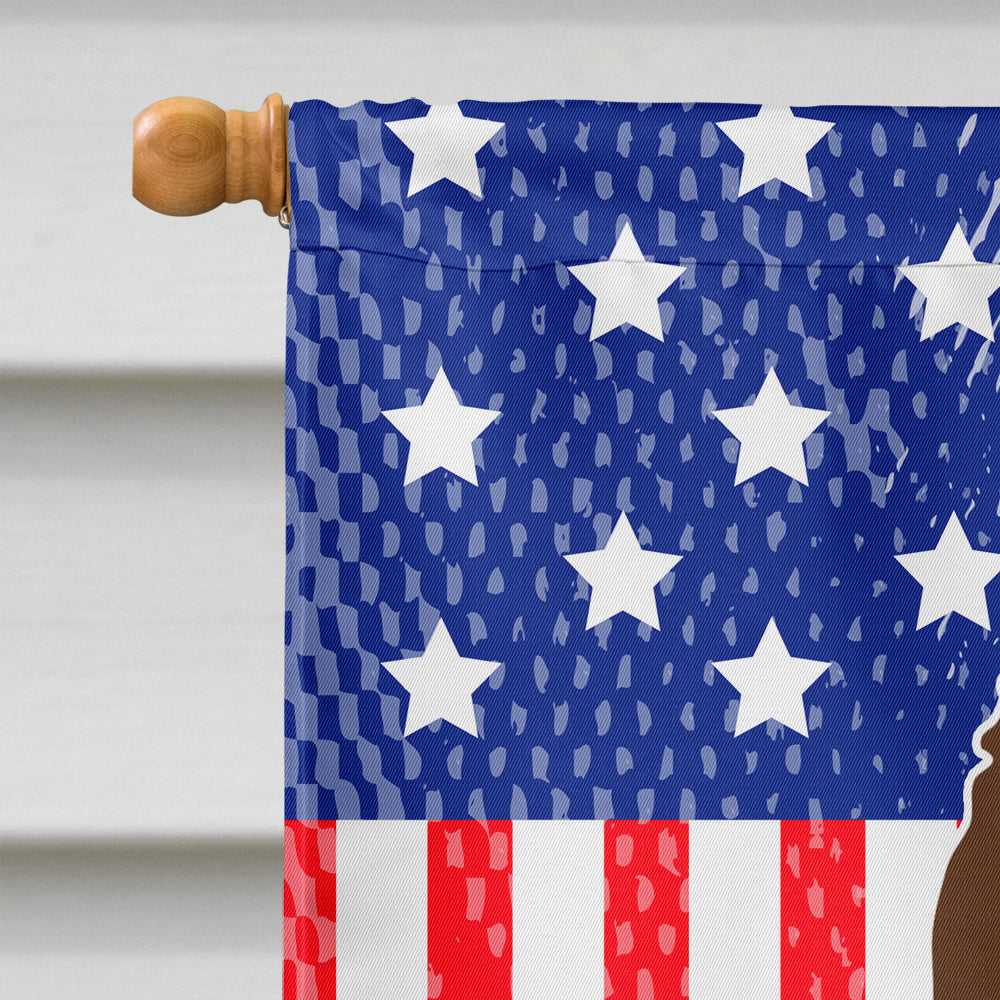 Patriotic USA Irish Water Spaniel Flag Canvas House Size BB3058CHF  the-store.com.