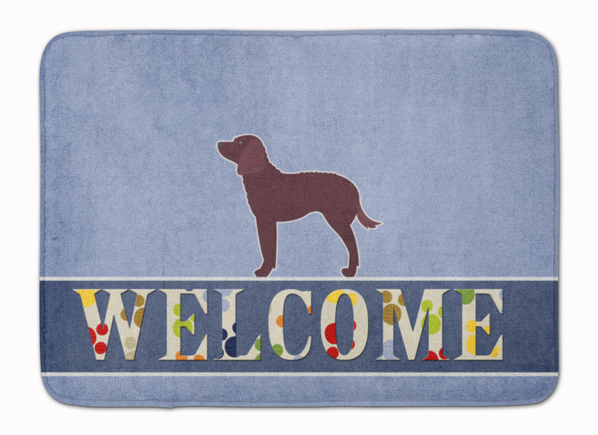 American Water Spaniel Welcome Machine Washable Memory Foam Mat BB5505RUG - the-store.com