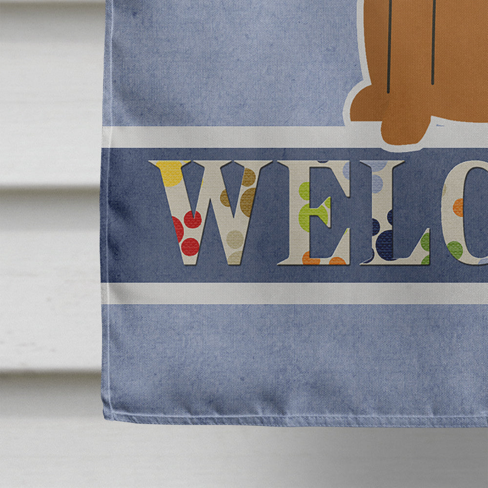 Irish Terrier Welcome Flag Canvas House Size BB5643CHF  the-store.com.