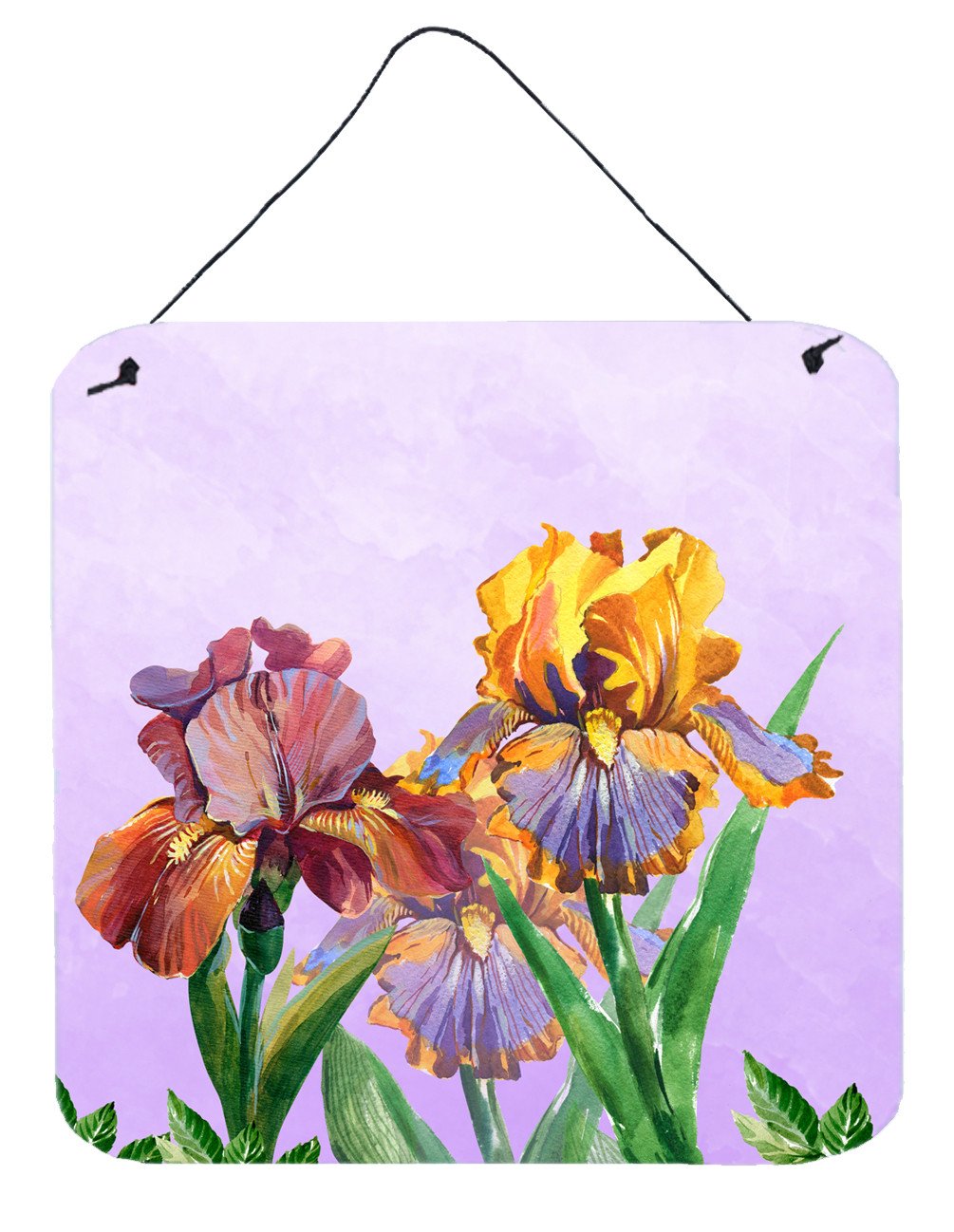 Purple and Yellow Iris Wall or Door Hanging Prints BB7445DS66 by Caroline's Treasures