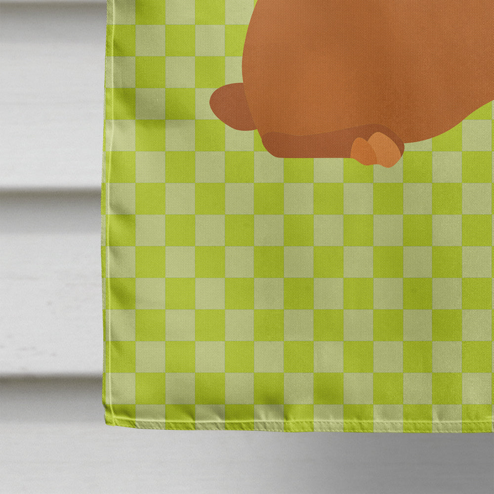 Rex Rabbit Green Flag Canvas House Size BB7795CHF  the-store.com.