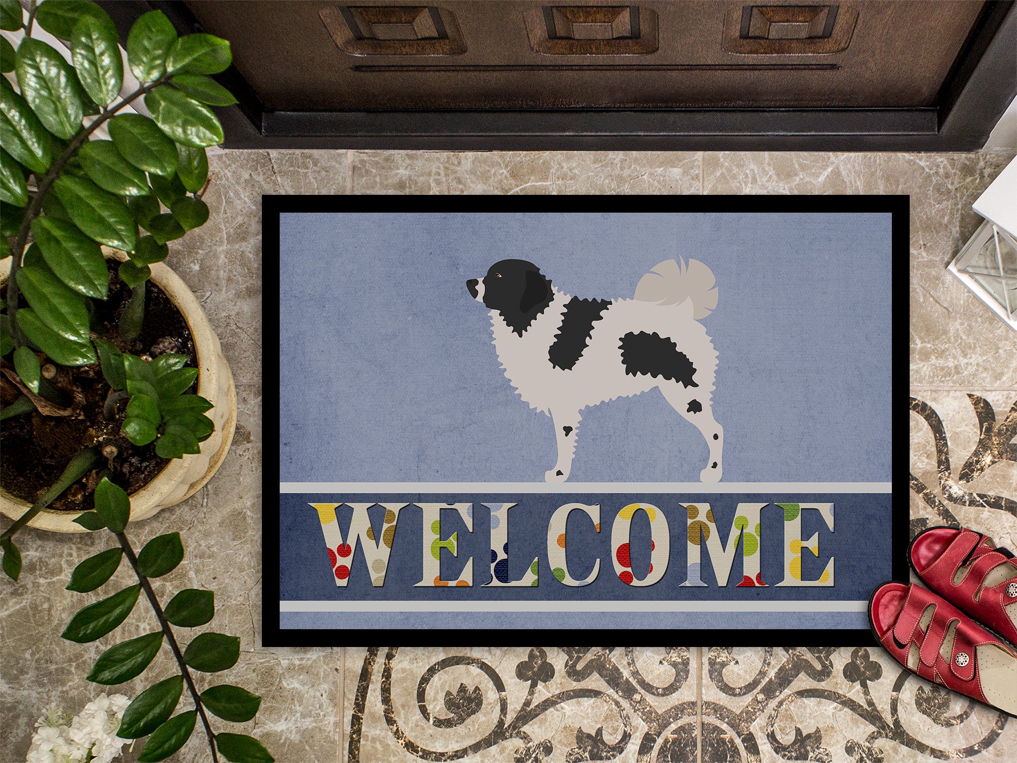 Wetterhoun Frisian Water Dog Indoor or Outdoor Mat 18x27 BB8282MAT - the-store.com