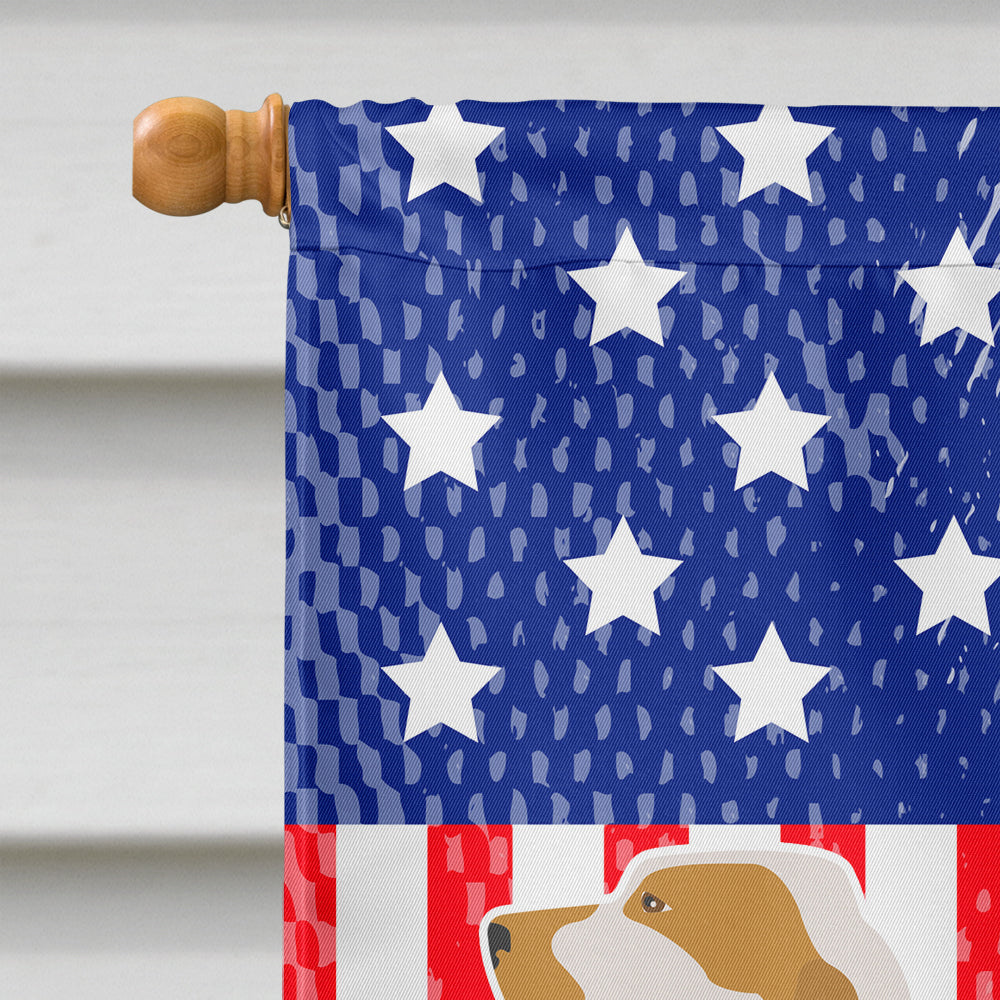 Ariege Pointer American Flag Canvas House Size BB8353CHF  the-store.com.