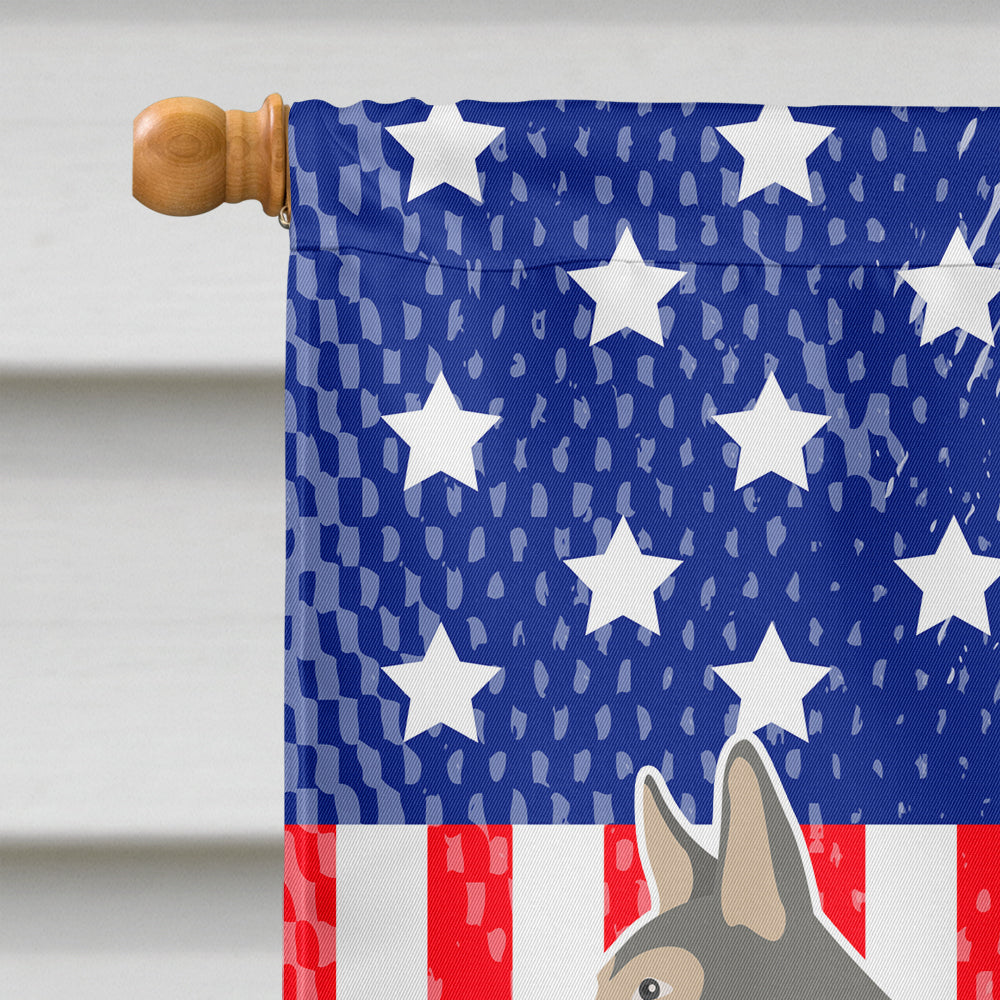 Saarloos Wolfdog American Flag Canvas House Size BB8377CHF  the-store.com.