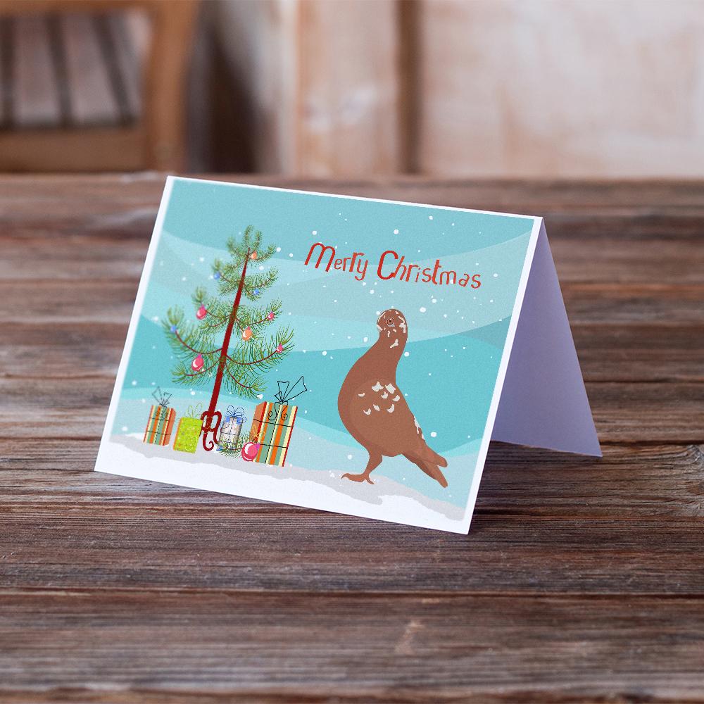 African Owl Pigeon Christmas Greeting Cards and Envelopes Pack of 8 - the-store.com