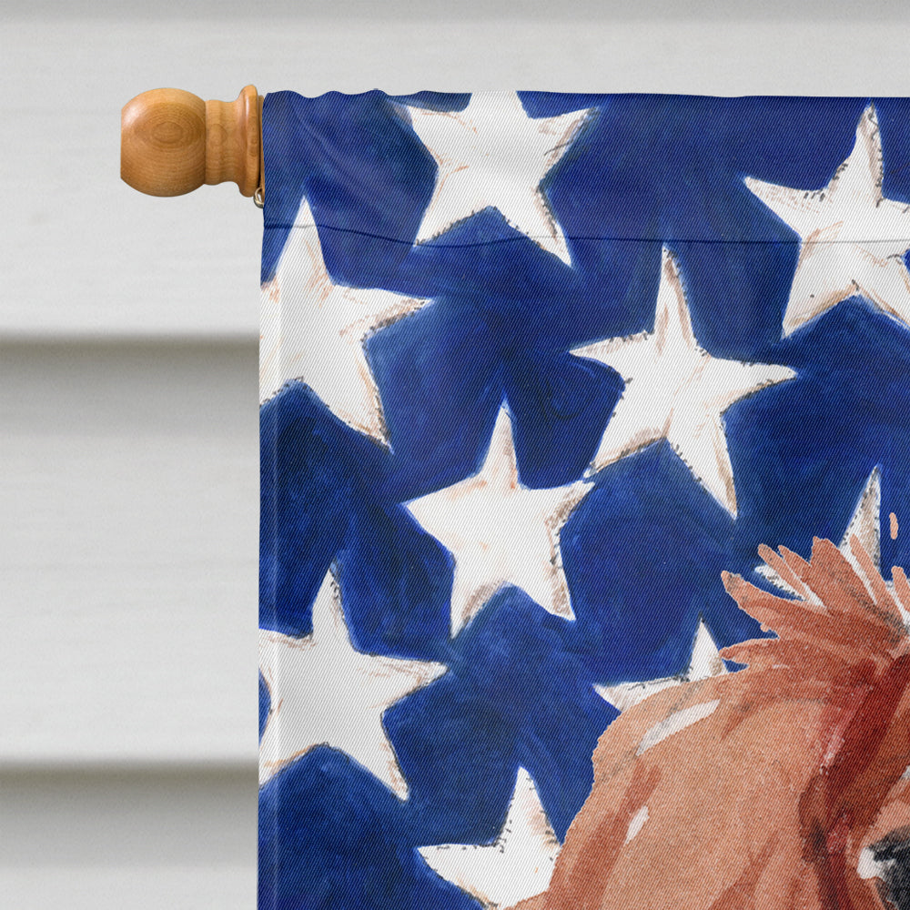 Blenheim Cavalier Spaniel Patriotic Flag Canvas House Size BB9358CHF  the-store.com.