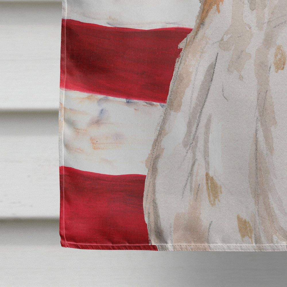 Brittany Spaniel Patriotic Flag Canvas House Size BB9364CHF  the-store.com.