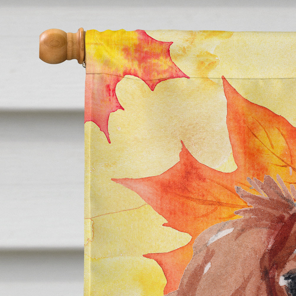 Blenheim Cavalier Spaniel Fall Flag Canvas House Size BB9498CHF  the-store.com.