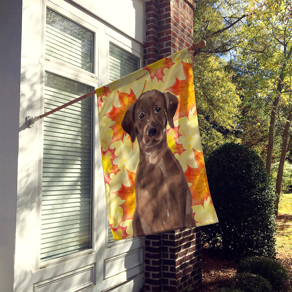 Chocolate Labrador Fall Flag Canvas House Size BB9505CHF  the-store.com.