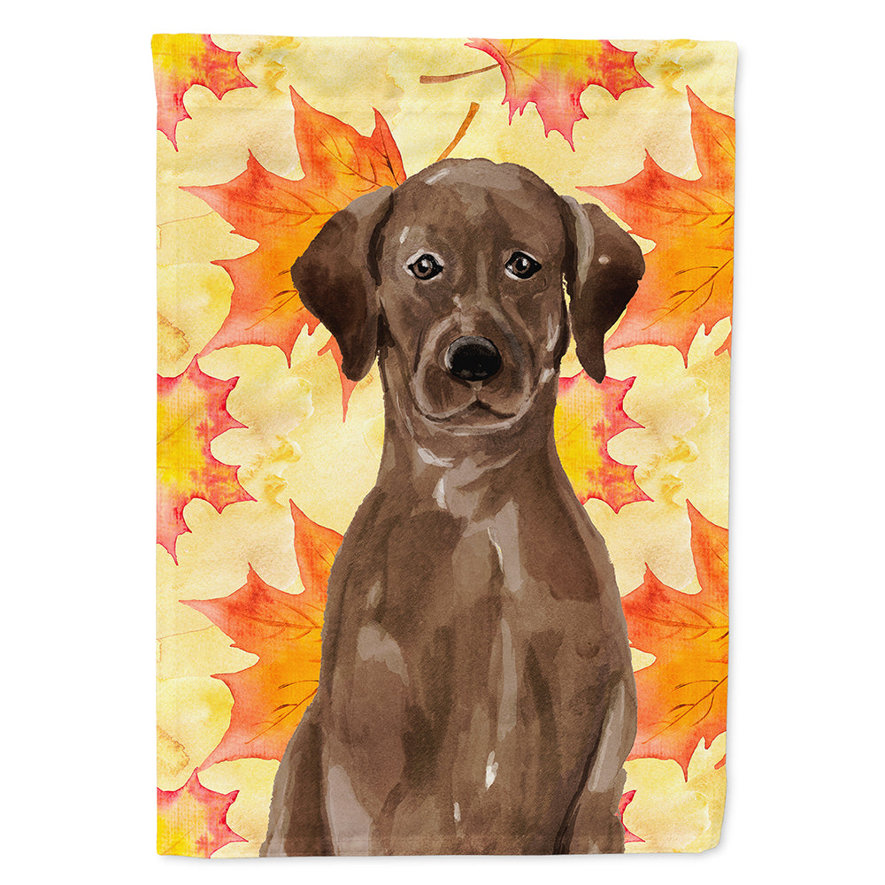 Chocolate Labrador Fall Flag Canvas House Size BB9505CHF  the-store.com.