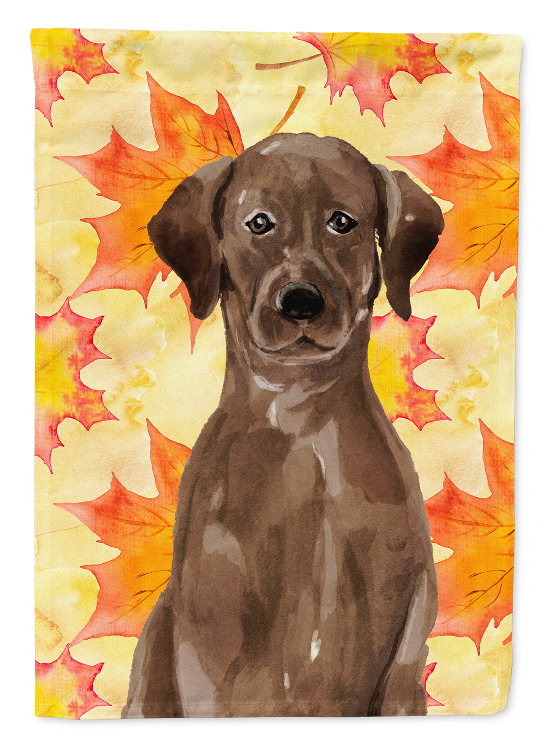 Chocolate Labrador Fall Flag Garden Size BB9505GF  the-store.com.