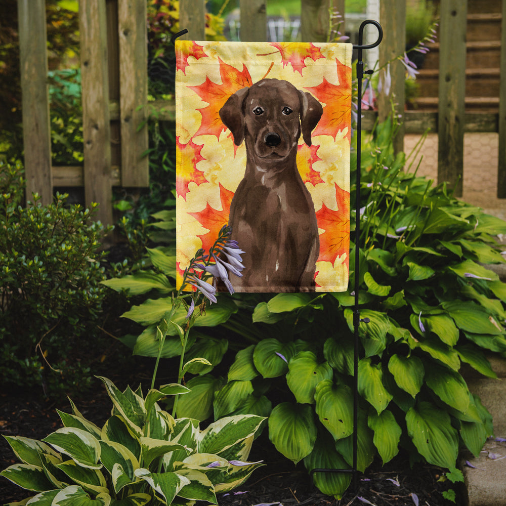 Chocolate Labrador Fall Flag Garden Size BB9505GF  the-store.com.