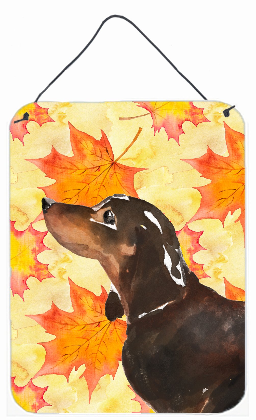 Black and Tan Dachshund Fall Wall or Door Hanging Prints BB9510DS1216 by Caroline&#39;s Treasures