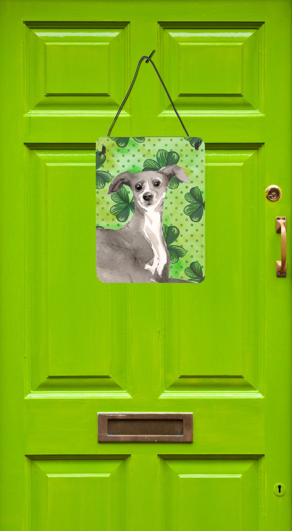 Italian Greyhound St. Patrick's Wall or Door Hanging Prints BB9562DS1216 by Caroline's Treasures