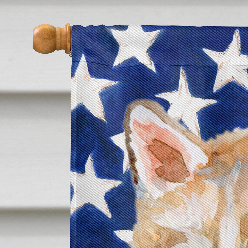 Siberian Husky Patriotic Flag Canvas House Size BB9655CHF  the-store.com.