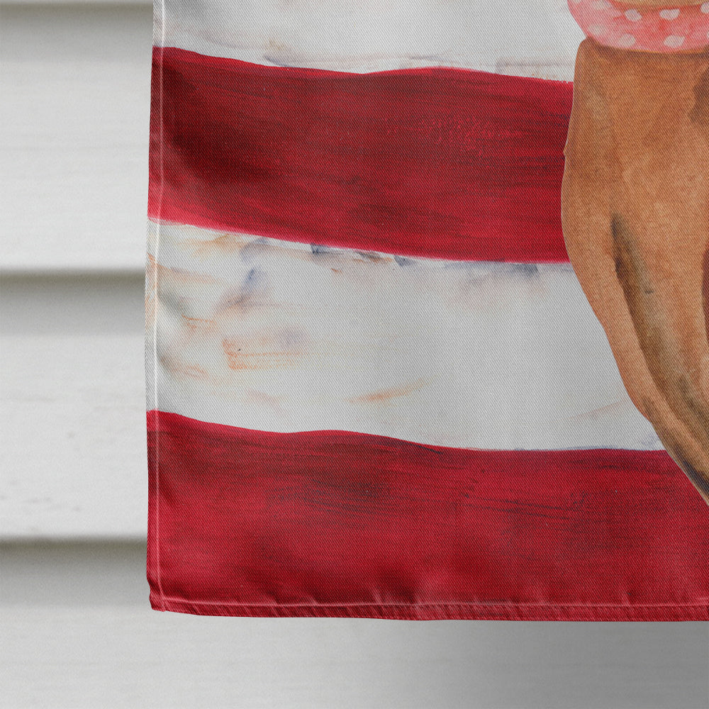 Miniature Pinscher Patriotic Flag Canvas House Size BB9656CHF  the-store.com.