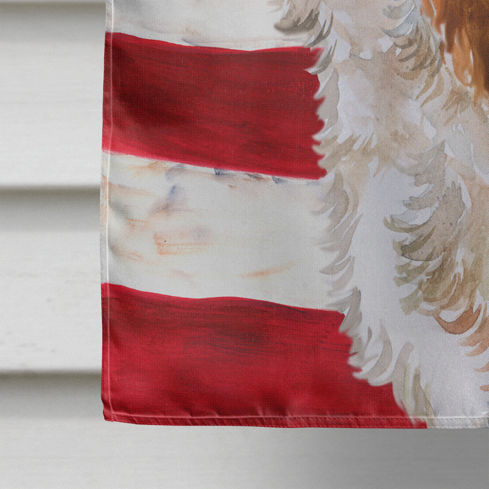 Cavalier Spaniel Patriotic Flag Canvas House Size BB9663CHF  the-store.com.