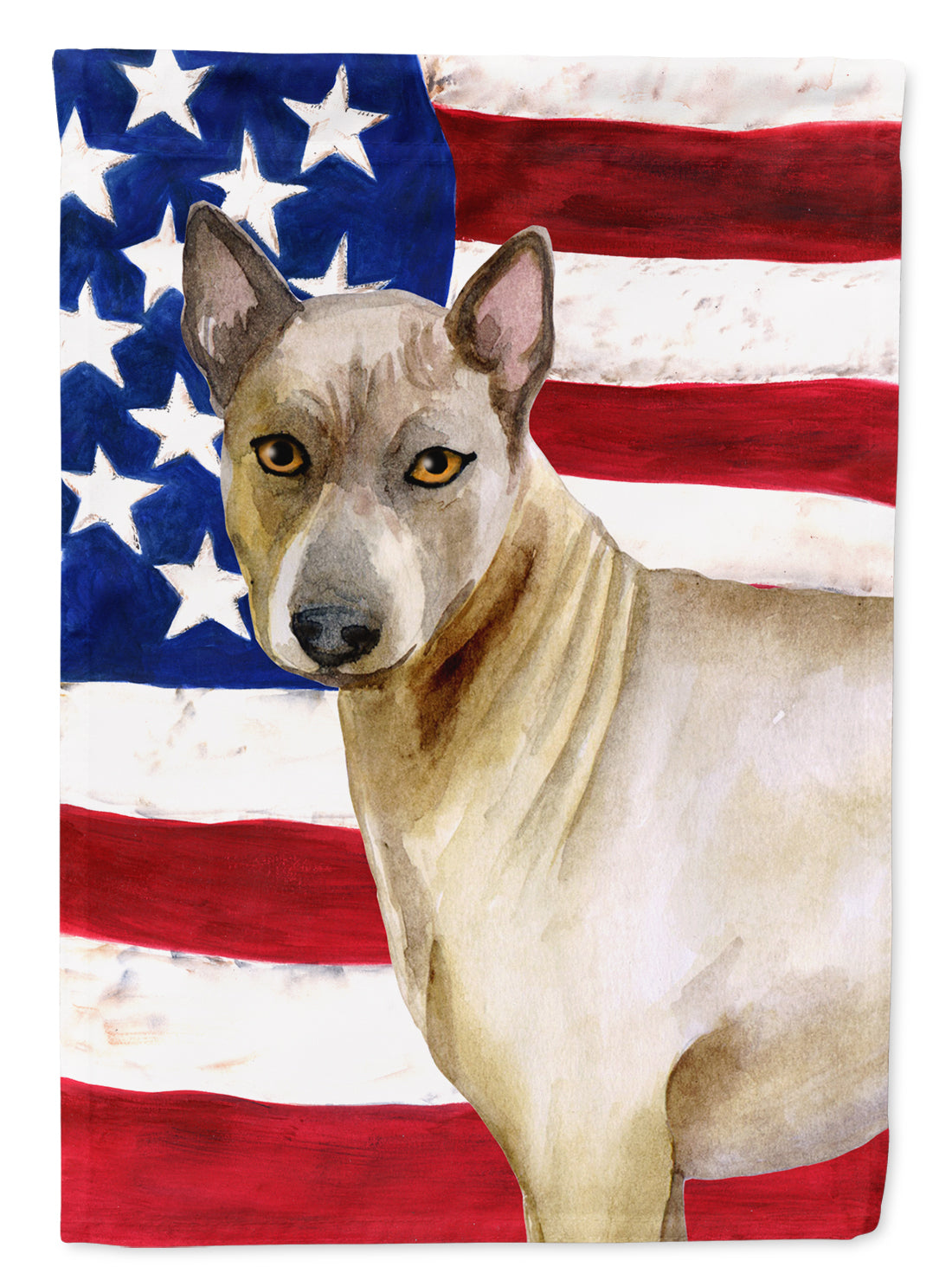 Thai Ridgeback Patriotic Flag Canvas House Size BB9680CHF  the-store.com.