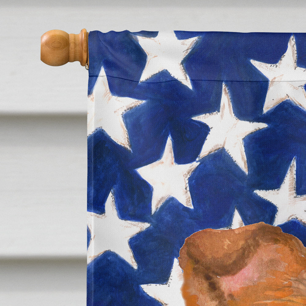 Sheltie Patriotic Flag Canvas House Size BB9720CHF  the-store.com.