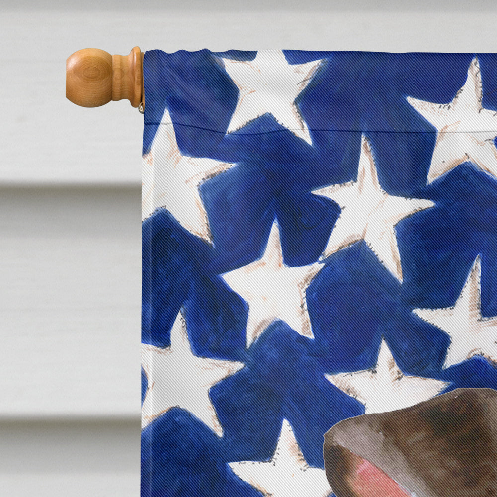 Miniature Pinscher #2 Patriotic Flag Canvas House Size BB9724CHF  the-store.com.