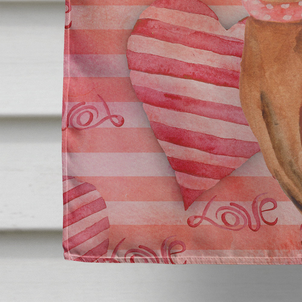 Miniature Pinscher Love Flag Canvas House Size BB9743CHF  the-store.com.