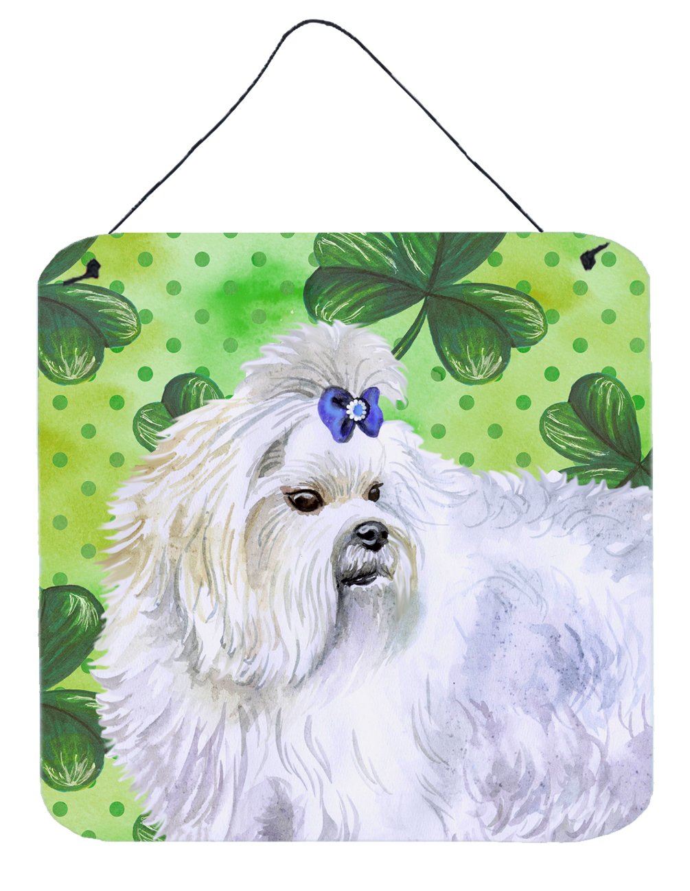 Maltese St Patrick's Wall or Door Hanging Prints BB9825DS66 by Caroline's Treasures