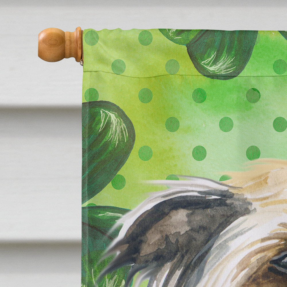 Chinese Crested St Patrick's Flag Canvas House Size BB9833CHF  the-store.com.