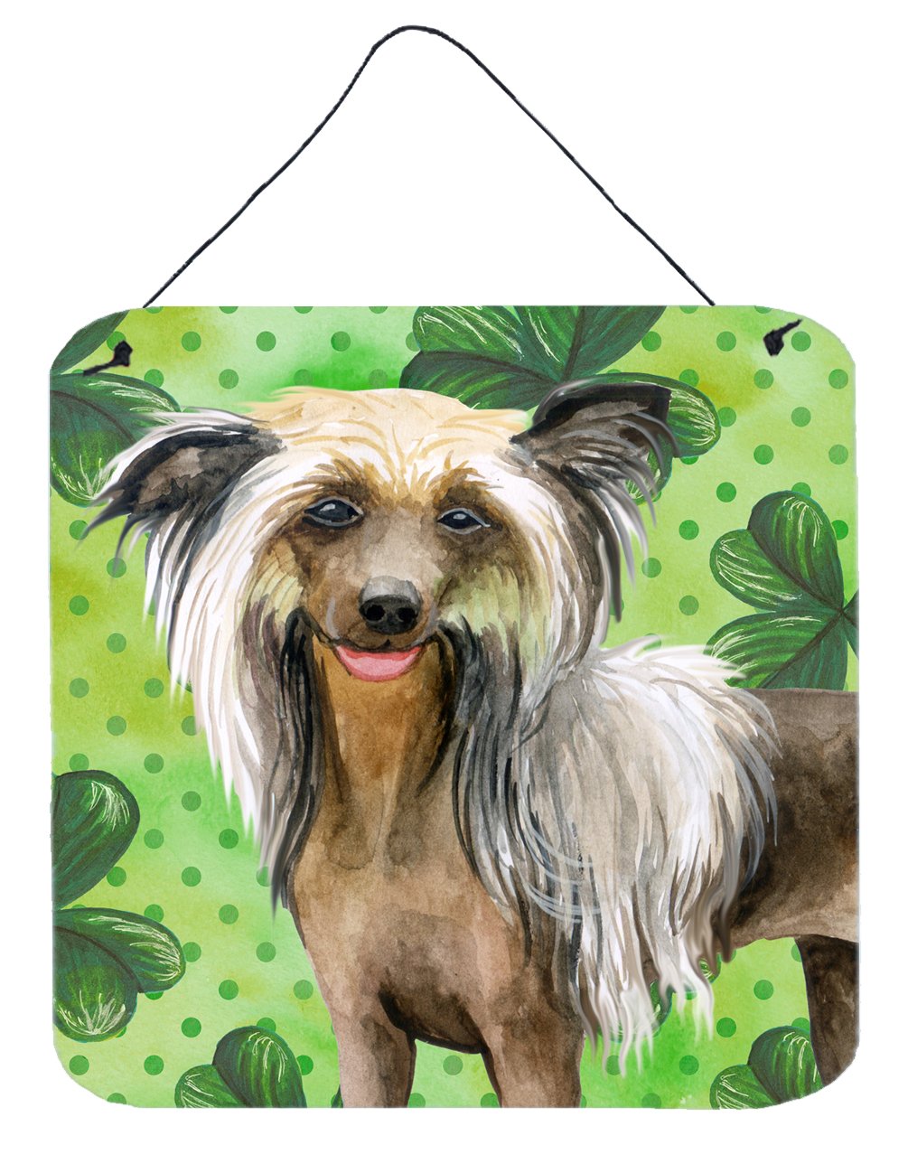 Chinese Crested St Patrick&#39;s Wall or Door Hanging Prints BB9833DS66 by Caroline&#39;s Treasures