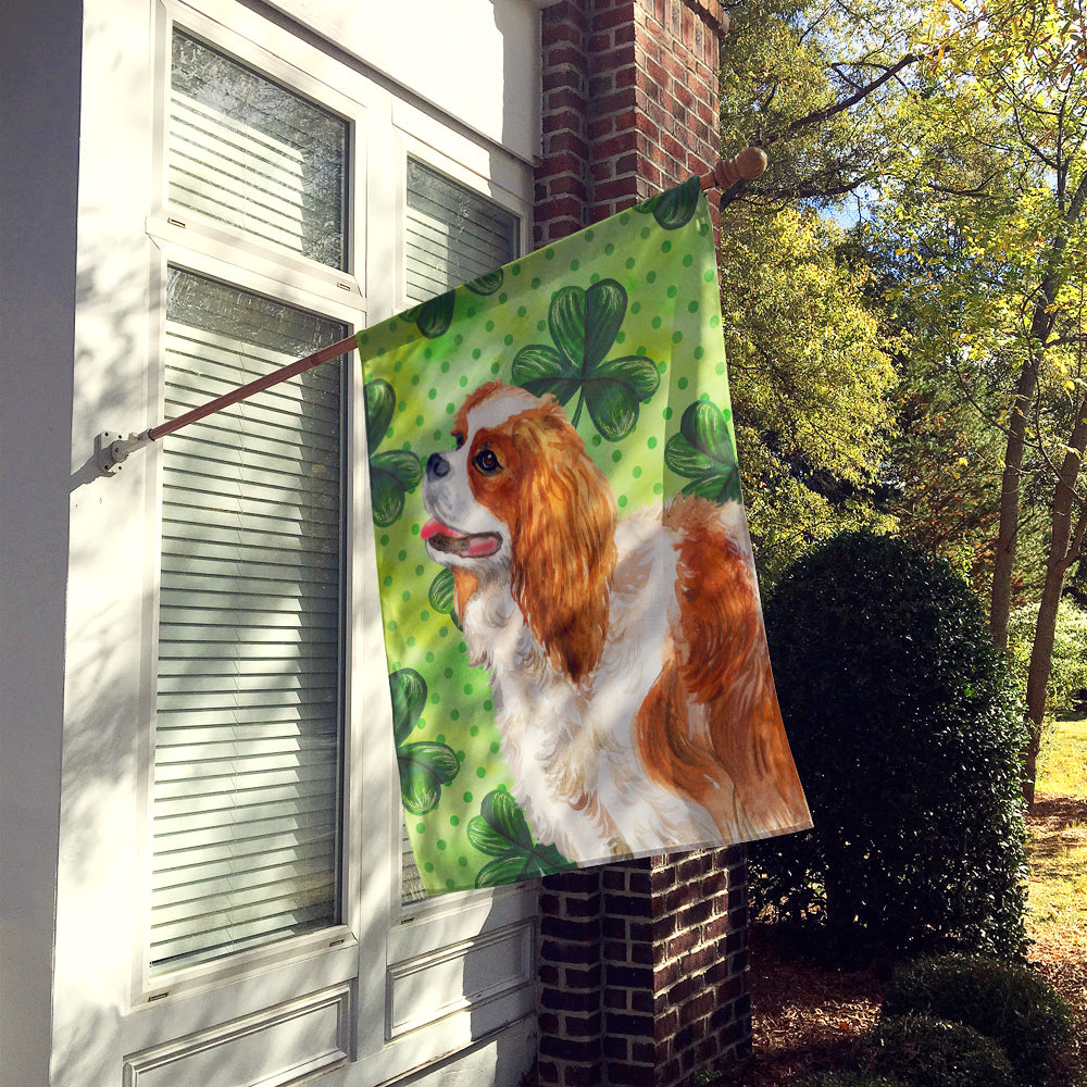 Cavalier Spaniel St Patrick's Flag Canvas House Size BB9837CHF  the-store.com.