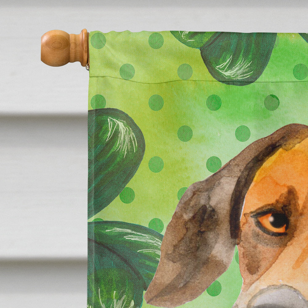 Rhodesian Ridgeback St Patrick's Flag Canvas House Size BB9850CHF  the-store.com.