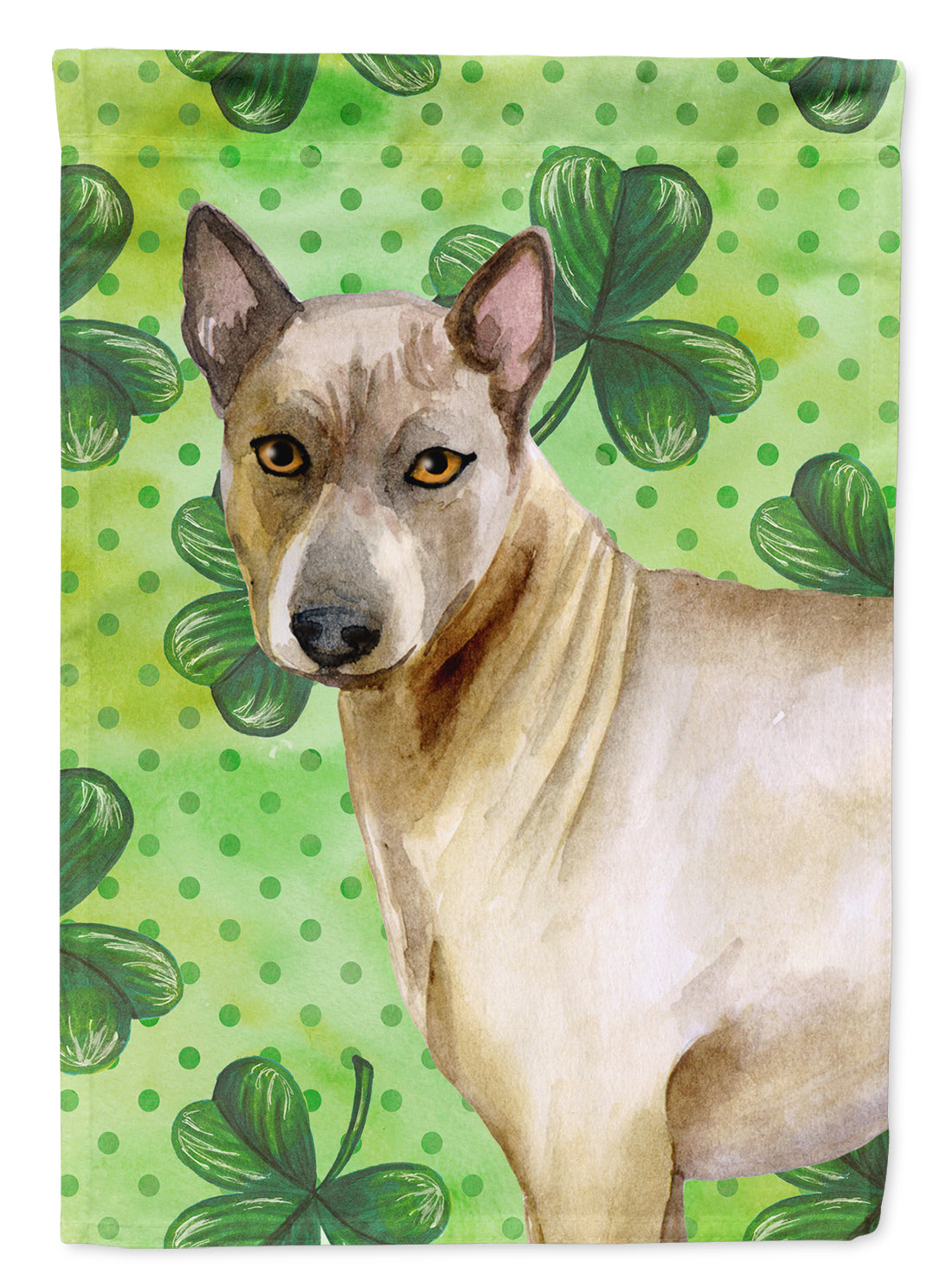 Thai Ridgeback St Patrick&#39;s Flag Canvas House Size BB9854CHF  the-store.com.