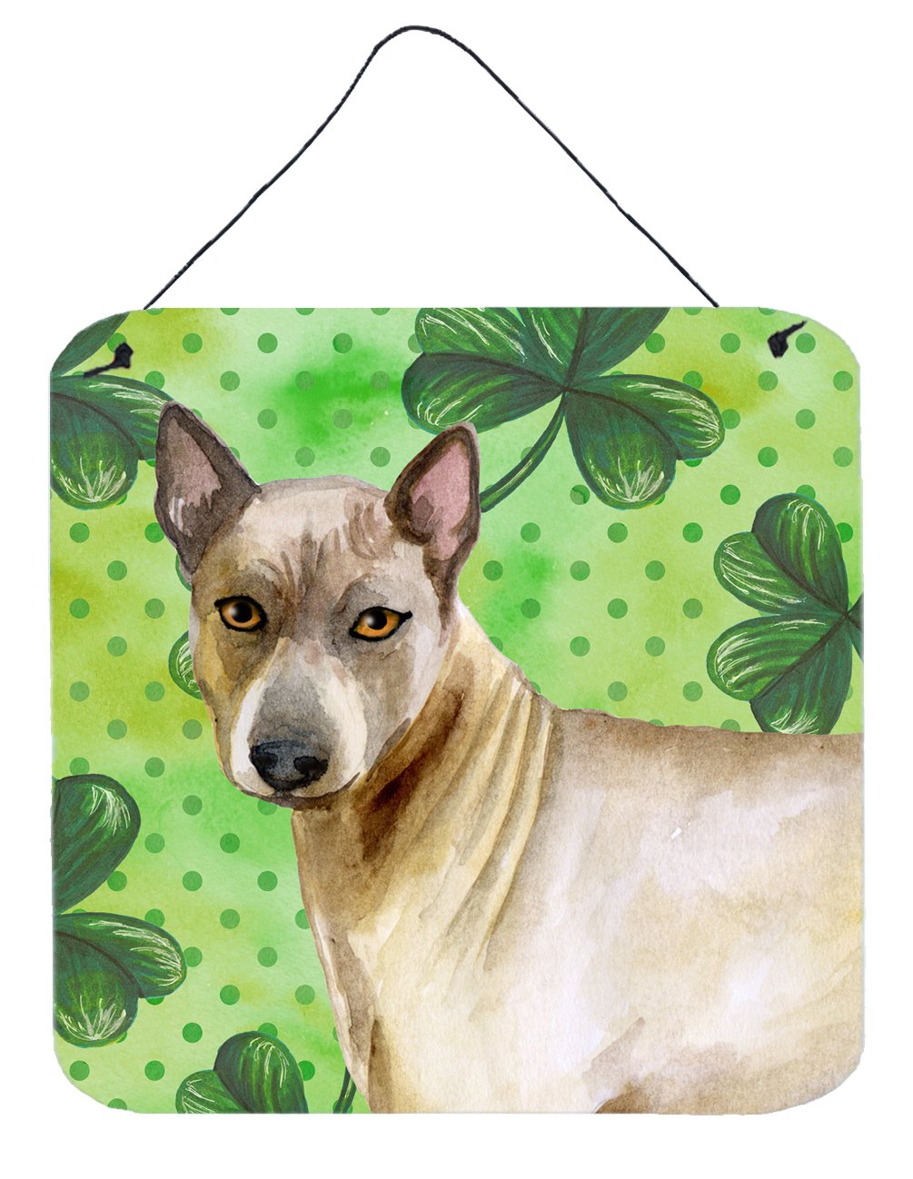 Thai Ridgeback St Patrick's Wall or Door Hanging Prints BB9854DS66 by Caroline's Treasures