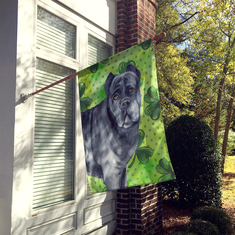 Cane Corso St Patrick's Flag Canvas House Size BB9868CHF  the-store.com.