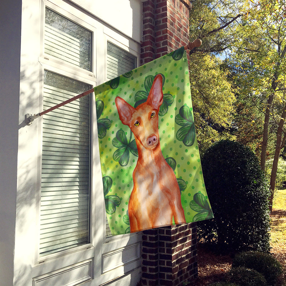 Pharaoh Hound St Patrick's Flag Canvas House Size BB9889CHF  the-store.com.