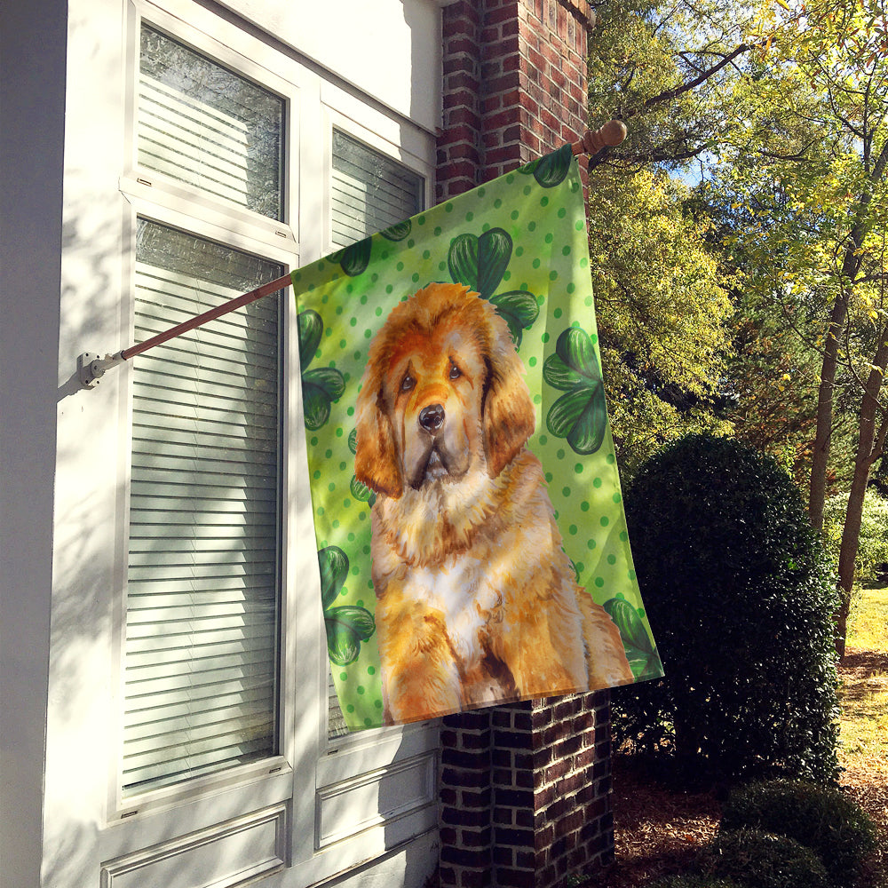 Tibetan Mastiff St Patrick's Flag Canvas House Size BB9895CHF  the-store.com.