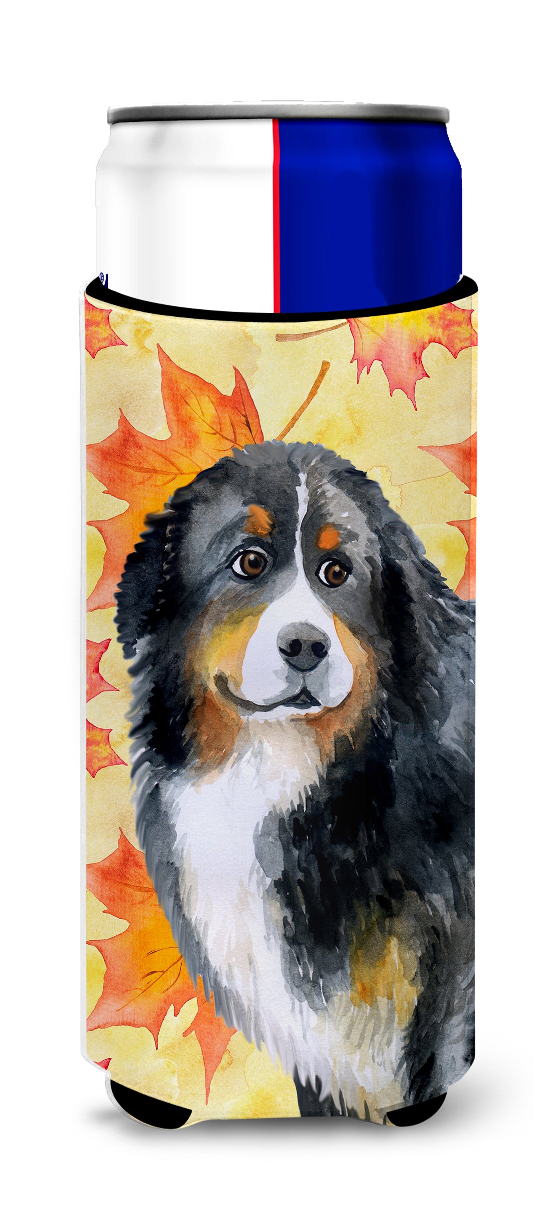 Bernese Mountain Dog Fall  Ultra Hugger for slim cans BB9906MUK  the-store.com.