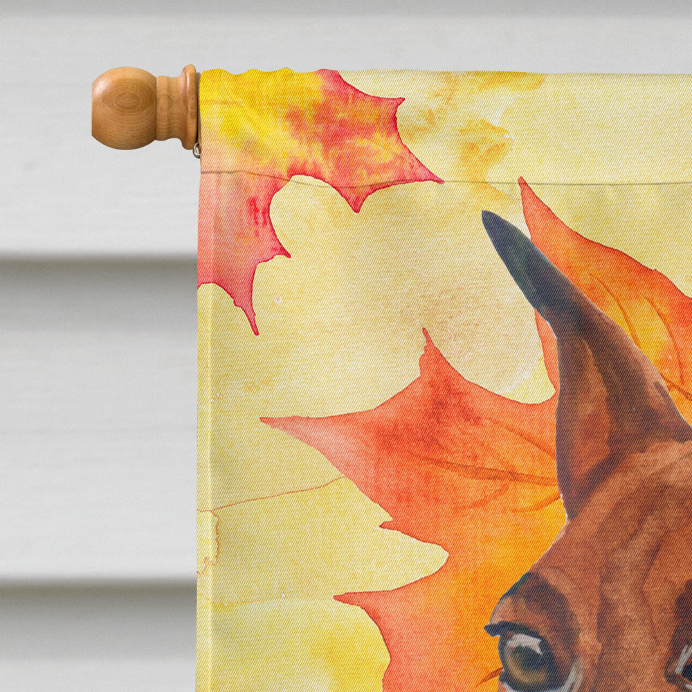 Miniature Pinscher Fall Flag Canvas House Size BB9917CHF  the-store.com.