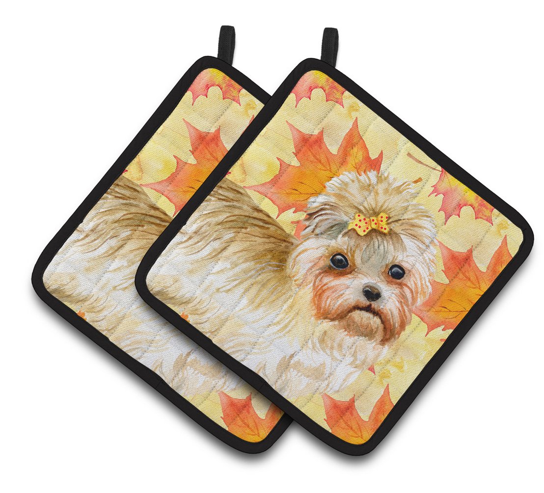 Morkie Fall Pair of Pot Holders BB9929PTHD by Caroline's Treasures