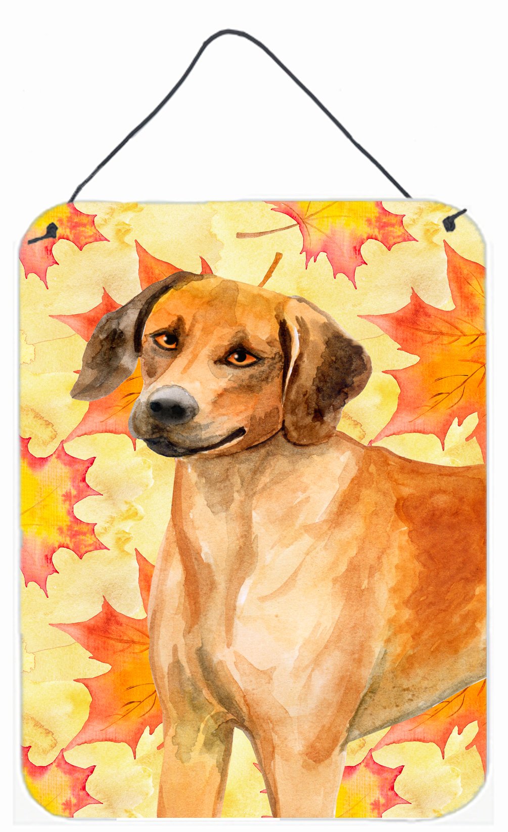 Rhodesian Ridgeback Fall Wall or Door Hanging Prints BB9937DS1216 by Caroline&#39;s Treasures