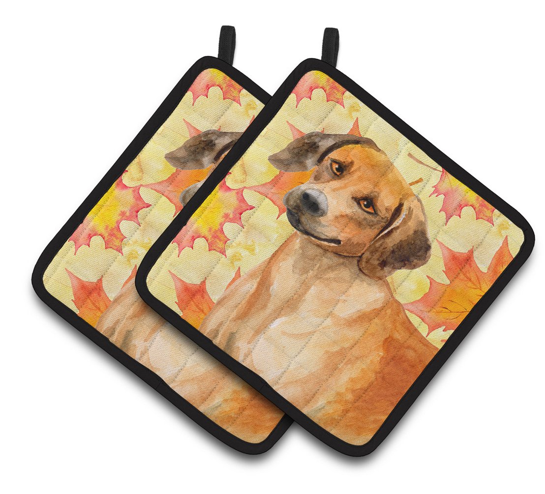 Rhodesian Ridgeback Fall Pair of Pot Holders BB9937PTHD by Caroline&#39;s Treasures