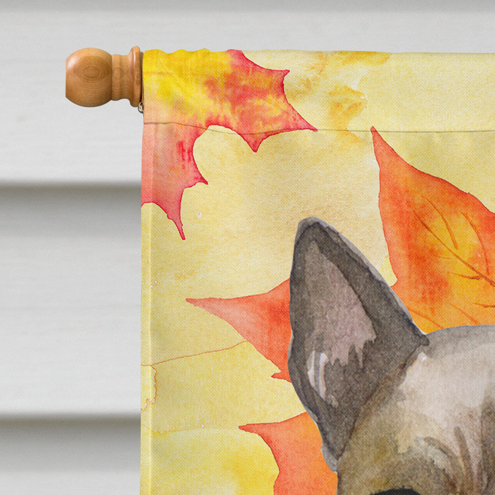 Thai Ridgeback Fall Flag Canvas House Size BB9941CHF  the-store.com.