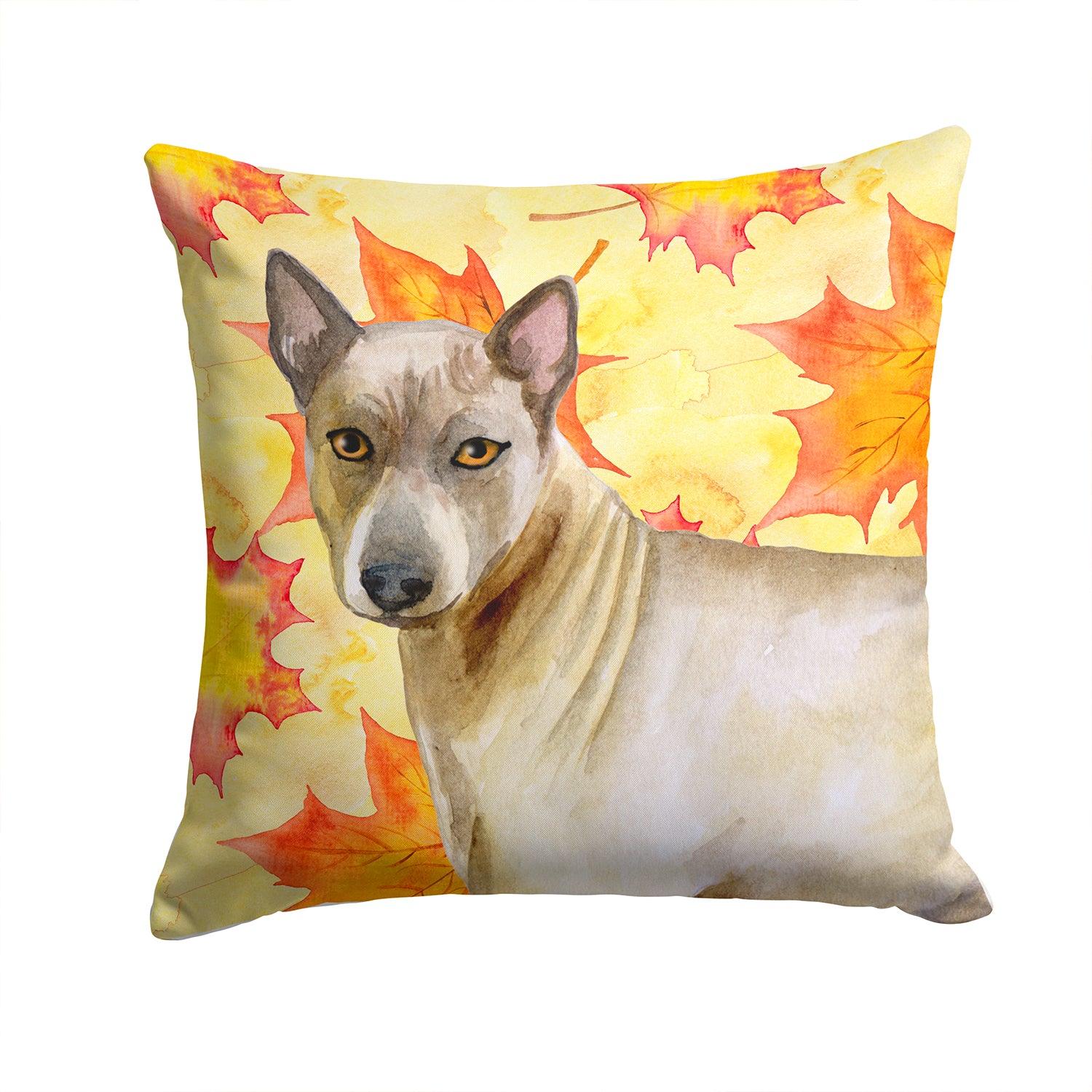 Thai Ridgeback Fall Fabric Decorative Pillow BB9941PW1414 - the-store.com