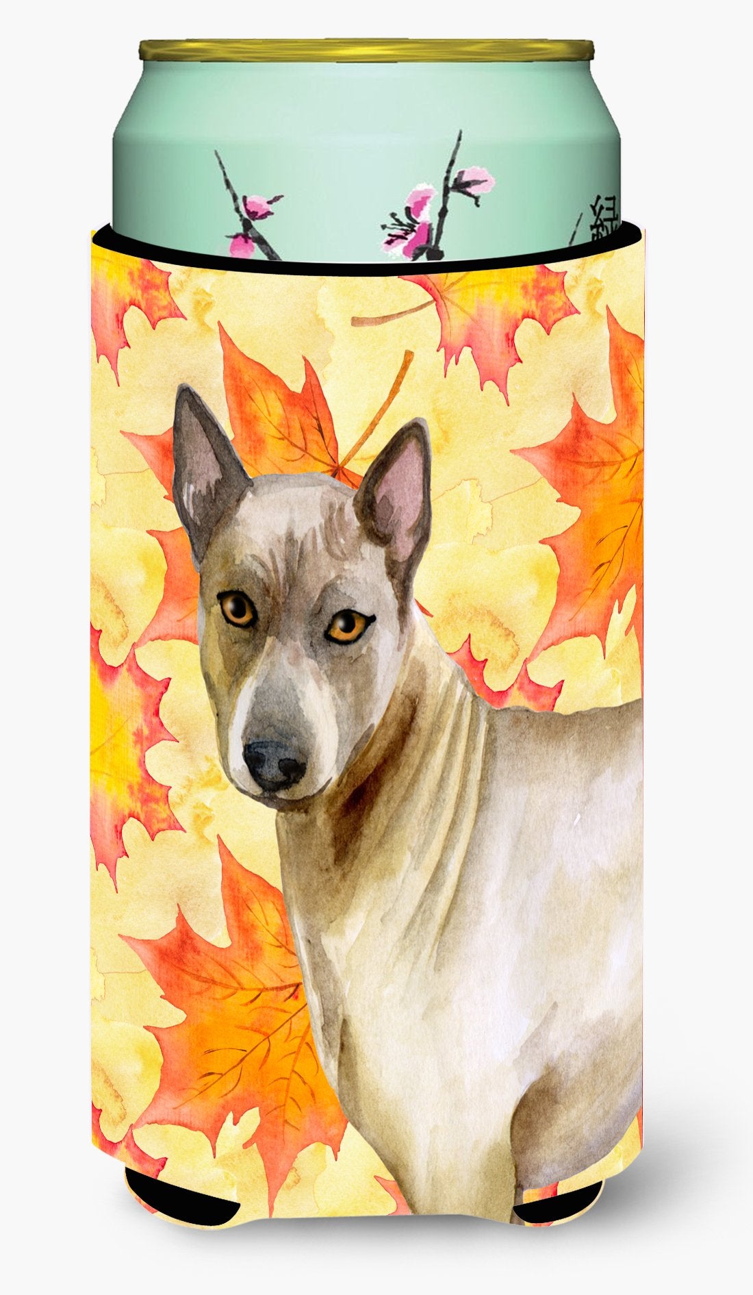 Thai Ridgeback Fall Tall Boy Beverage Insulator Hugger BB9941TBC by Caroline's Treasures