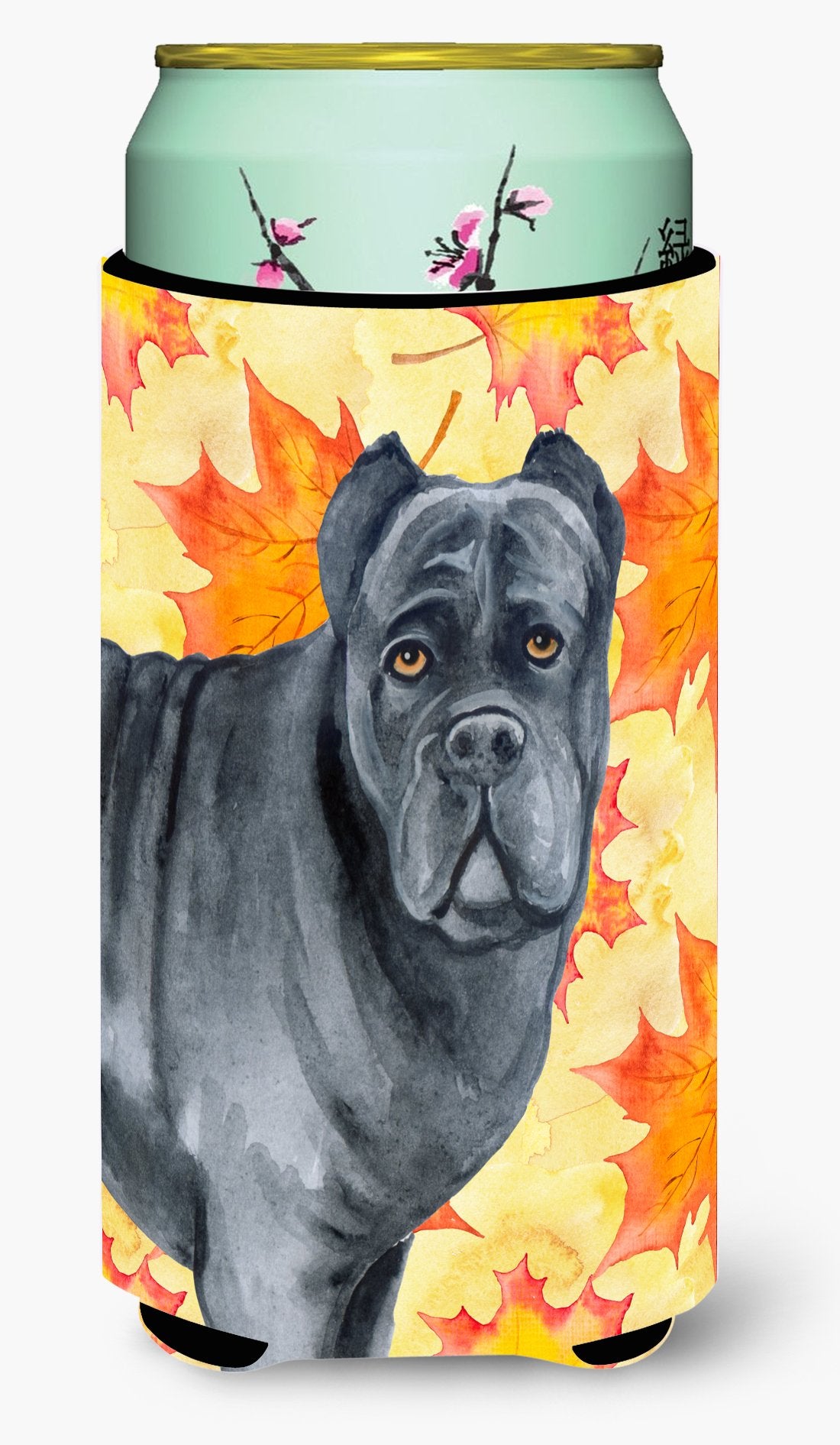 Cane Corso Fall Tall Boy Beverage Insulator Hugger BB9955TBC by Caroline's Treasures